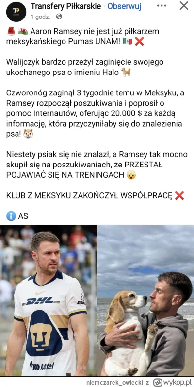 niemczarek_owiecki - #psiarze #mecz 
No i to ja rozumiem. Nie przychodzisz na trening...