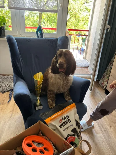 1iostatni - Tu moj terrorysta.  Zajął fotel pokazując dominację.