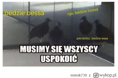 mimik739 - #gielda 

Już jutro przepowiednie miraskow z magicznej kuli na poniedziałe...