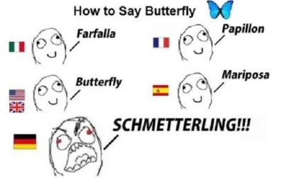 choochoomotherfucker - >Motyl to kobieta. W języku włoskim, w języku hiszpańskim... f...
