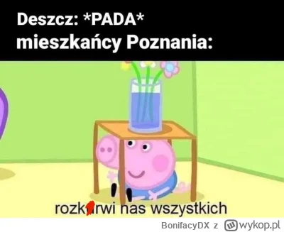 BonifacyDX - Polećmy klasykiem 
#poznan