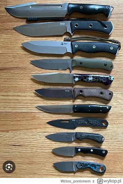 Wziuu_pontonem - Ktoś ewidentnie nie ma co robić z piniondzami 
#noze