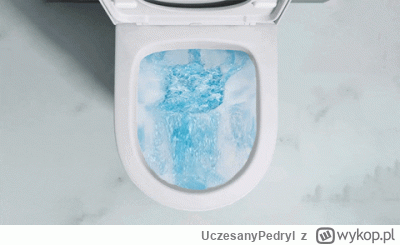 UczesanyPedryl - #kryptowaluty  #bitcoin