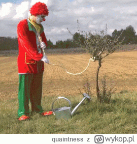 quaintness - @toby34: