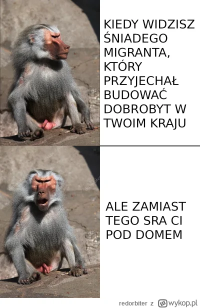 redorbiter - Für ein solches Deutschland habe ich nicht gekämpft
#konkursnanajbardzie...