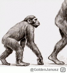 GoldenJanusz - @mirabelka2137: @MLeko29