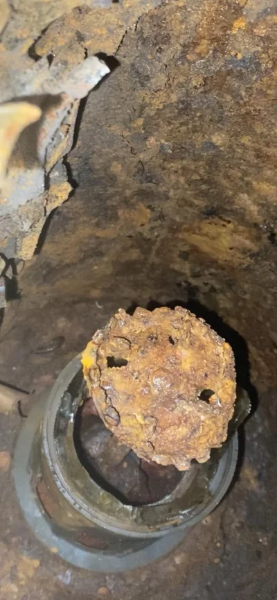 zarazusne - @zarazusne: