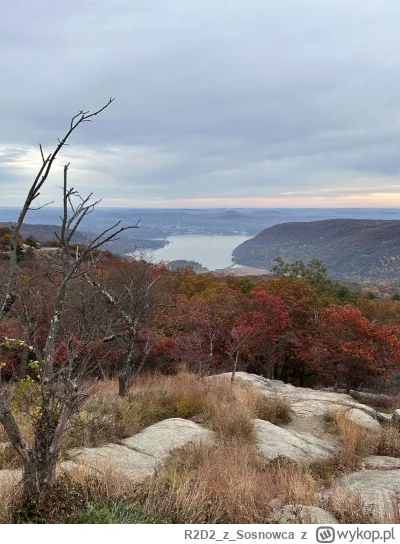 R2D2zSosnowca - @R2D2zSosnowca ᶘᵒᴥᵒᶅ