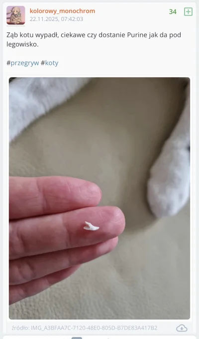 witek-osik - gdy dam2k @Piekielnik123 @przegryw_wykopu pisal o samobojstwach i azotyn...