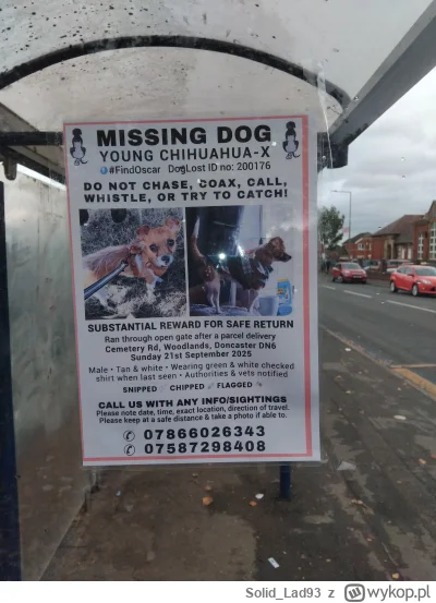 Solid_Lad93 - Piesio zaginął, jak ktoś ogarnia angielski to w sumie dobrze napisane o...