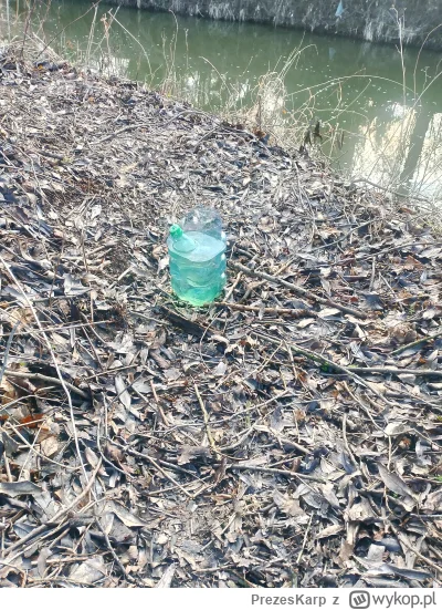 PrezesKarp - Młodzież z pobliskiej szkoły miała chyba lekcję w plenerze. Coś o ciśnie...