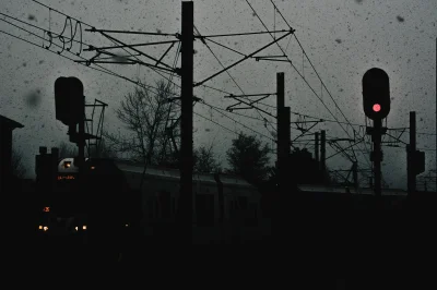 nothingleftbut_scars