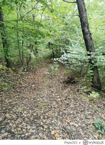 Pepu323 - #spierdotrip #przegryw