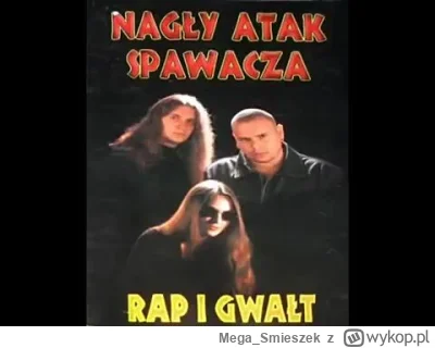 MegaSmieszek - @KRZYSZTOFDZONG_UN