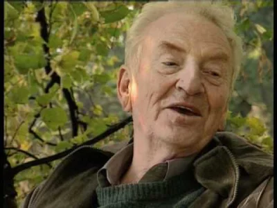 powsinogaszszlaja - Jedno z najbardziej znanych drzew na Podkarpaciu, nie przetrwało ...