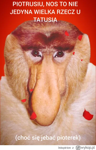 I.....n - Qualis pater, talis filius.
Parentes carissimus habere debemus.

#konkursna...