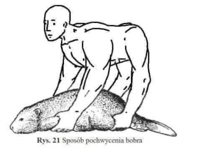 Winogronobezpestki1 - @bArrek