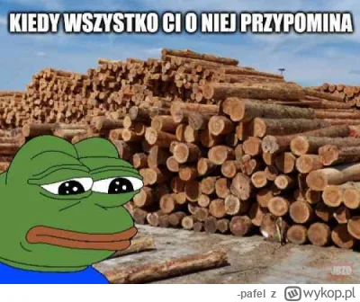 -pafel - #memy #heheszki