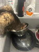 Pete1 - K------O DOBRA WODA, PYSZNA, NIGDY TAKIEJ NIE PIŁA, CHOĆ MA ZAWSZE ŚWIEŻĄ W M...