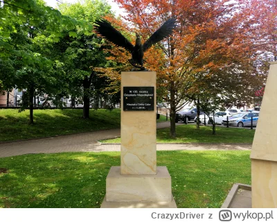 CrazyxDriver - Rynek w Gdowie i pomnik