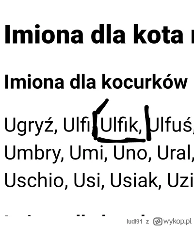 ludi91 - #famemma ( ͡° ͜ʖ ͡°) czyli to kot, mruczący boxdelowi do ucha