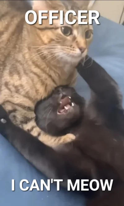 bajo18 - @PokemonowyRambo: