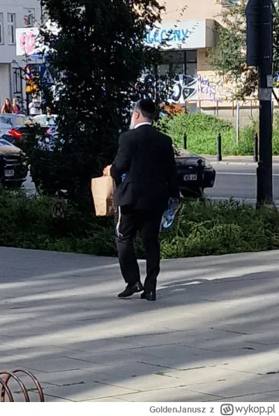 GoldenJanusz - wyszli już na ulice...
#przegryw #zydkrecikorba