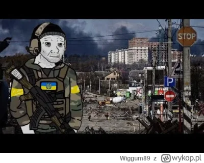 Wiggum89 - #muzyka #doomer #ukraina