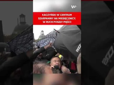 Hodofca - >XDXD typ pcha kaczora i zaczyna go szarpać, jeszcze w tłumie gdzie reszta ...