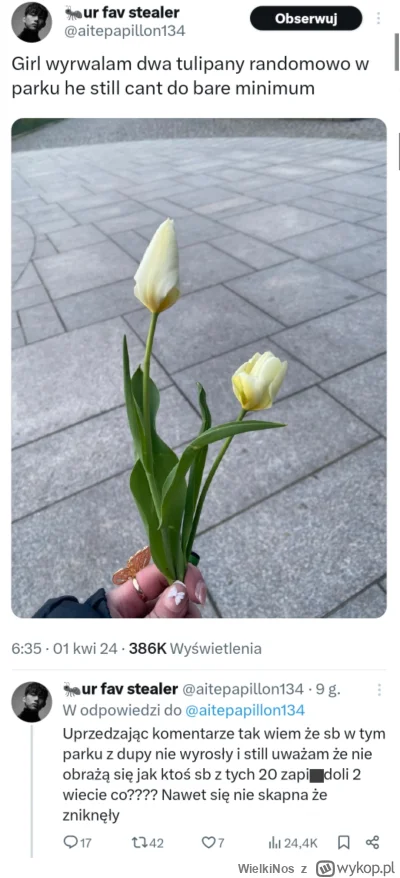 WielkiNos - Silne i niezależne juleczki nie mogą sobie kupić tulipanów za 5 zł tylko ...