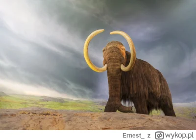 Ernest_ - https://mastodon-poradnik.pl/

#fediverse #fediwersum #mastodon #internet #...