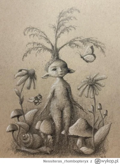 Nessiteras_rhombopteryx - #gabinetosobliwosci #mandragora