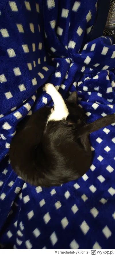 MarmoladaNykilor - @MarmoladaNykilor: