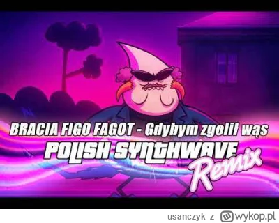 usanczyk - BRACIA FIGO FAGOT - Gdybym zgolił wąs (Synthwave Remix)
światła dym laser ...