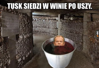 JasnyBanan - Ale tusk dzięki propagandzie PiS mógłby walić w rynek win. Reklame już m...