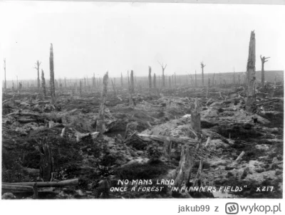 jakub99 - @xvlk: Limanowa po całej akcji