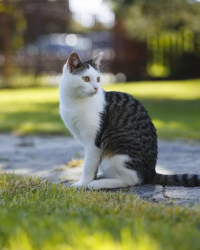 hakeryk2 - @Solsith: Oddaj mojego Mimnioszka!