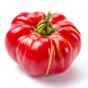 Theo_Y - @Poza-kontrolo: hipsterzy pomidorowi mogą znać innego gargamela( ͡° ͜ʖ ͡°)