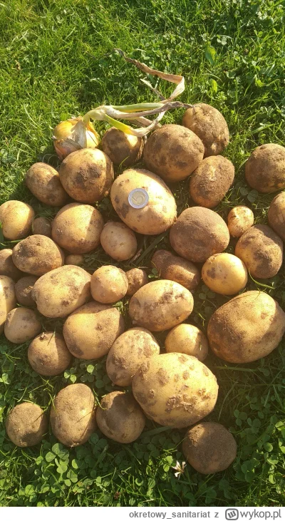 okretowy_sanitariat - kilka chwil wcześniej