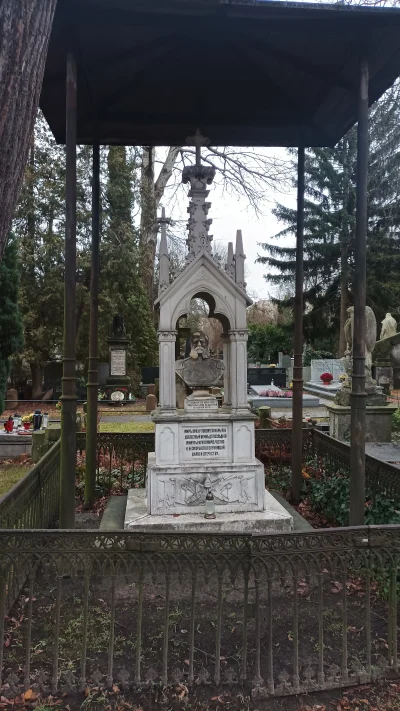 Wewnetrzny_Recenzent