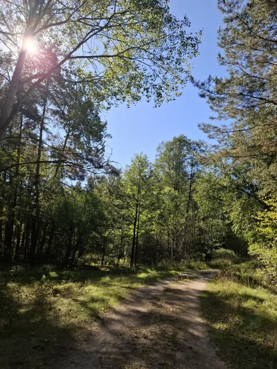 Gontyn- - #przegryw #spierdotrip