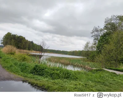 Roxi5017 - 208 455 + 45 = 208 500

Pojeżdżone, ale było zimno ( ͡° ͜ʖ ͡°)

#rowerowyr...