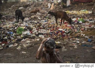 gorobei - @Mirek224: