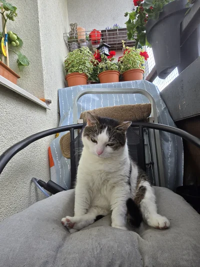 Solsith - @vateras131: poszła na drugi spot( ͡° ʖ̯ ͡°)