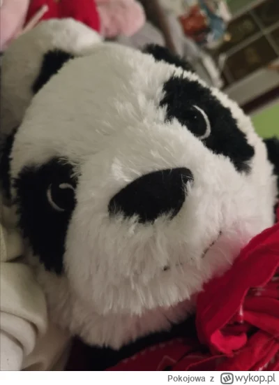 Pokojowa - @Alter_Konto Jutlo poniedziałek...

..A ja za baldzio nie lubie poniedział...