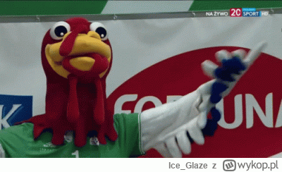 Ice_Glaze - ᕦ(òóˇ)ᕤ

#siatkowka