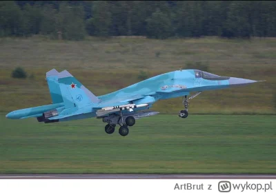 ArtBrut - #rosja #wojna #ukraina #wojsko #samoloty

W Rosji spadł kolejny samolot, ty...