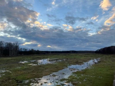 StudentkaPrzestrzeni - @rolnik_wykopowy: te tereny są naprawdę cenne, nie ma innego p...