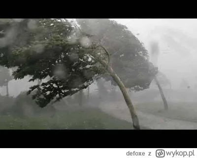 defoxe - >Ale ptaki to akurat prawda
@WolvvloW: mam nadzieję, że tu ptaki zostały po...