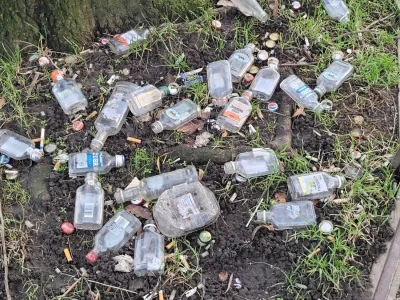 rzaden_problem - @szlovak: Ale są jakieś plusy, tak? Od teraz menele i alkusy nie będ...